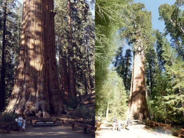 ѩ���������ж���ж�� ѩ��������������ͼƬ����