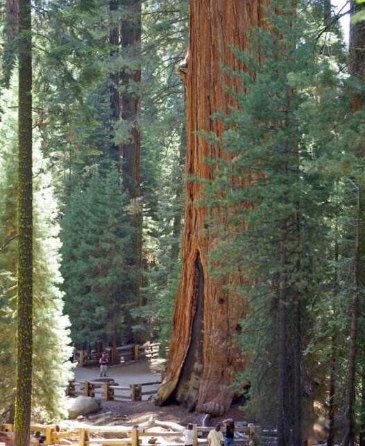 ѩ���������ж���ж�� ѩ��������������ͼƬ����