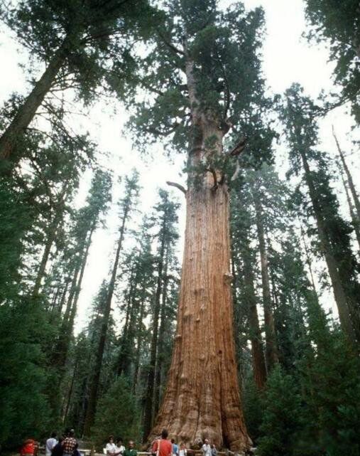 ѩ���������ж���ж�� ѩ��������������ͼƬ����