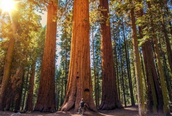 ѩ���������ж���ж�� ѩ��������������ͼƬ����