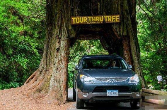 ѩ���������ж���ж�� ѩ��������������ͼƬ����