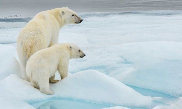 �����������仯���� �����ܽ��������������