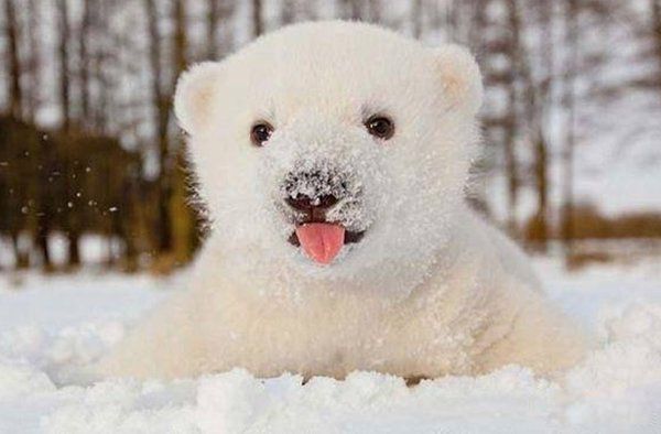 �����������仯���� �����ܽ��������������