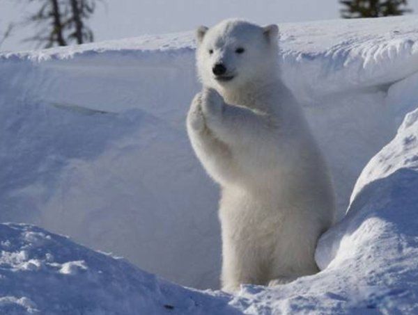 �����������仯���� �����ܽ��������������