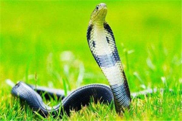 �ϼ����۾����ж�� ��̩���۾��ߺ�����