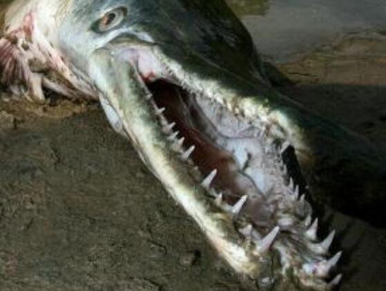 ������ˮ��֮�����ڵý� ������ˮ�����������