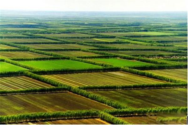 1公顷等于多少平方米 比公顷还大的单位是什么