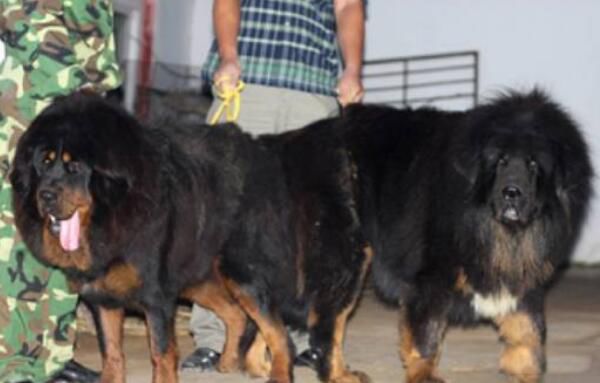 �й���һ����ȶ��ж����� �ȶ������Ѿ�����