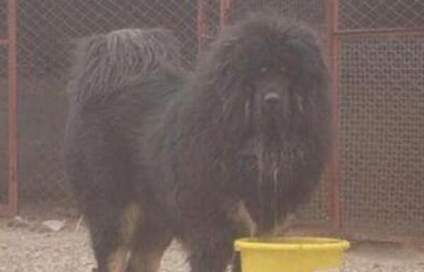 �й���һ����ȶ��ж����� �ȶ������Ѿ�����