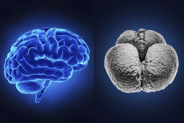 ���������൱�ڼ��� ���������ʲô�̶�