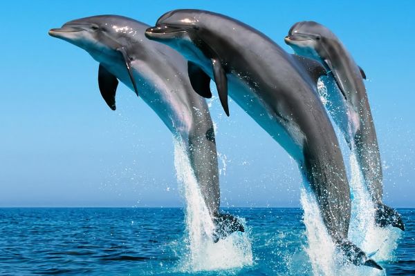 ���������൱�ڼ��� ���������ʲô�̶�