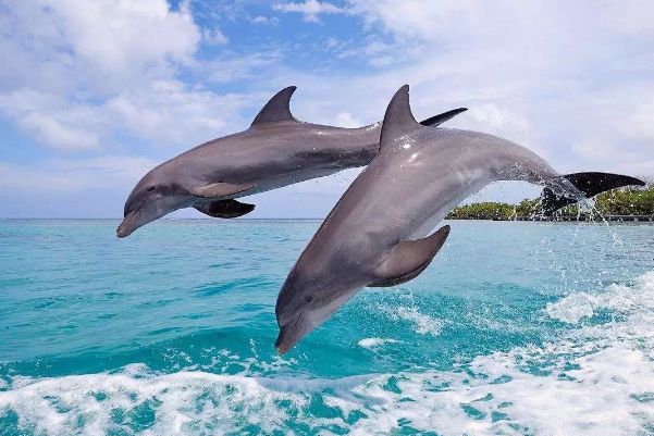 ���������൱�ڼ��� ���������ʲô�̶�