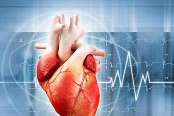 ����������Ҫ������ 2029�����������������,ר�һش�