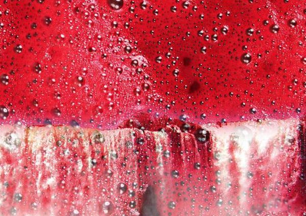 �ϼ�Ѫ�ٲ���ͼƬ�ҿ� Ѫ�ٲ�����ô�γ�