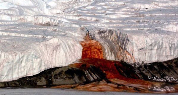 �ϼ�Ѫ�ٲ���ͼƬ�ҿ� Ѫ�ٲ�����ô�γ�