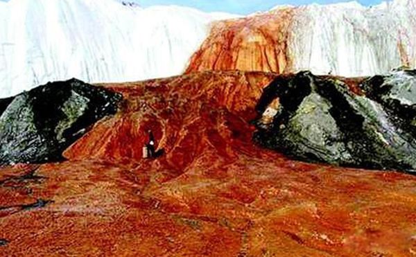 �ϼ�Ѫ�ٲ���ͼƬ�ҿ� Ѫ�ٲ�����ô�γ�