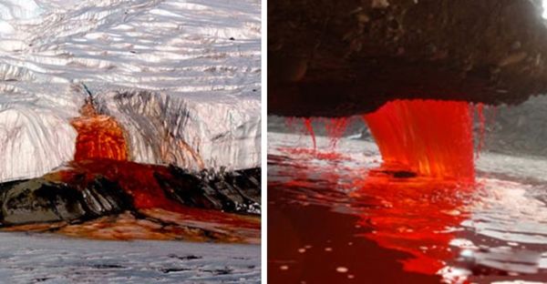 �ϼ�Ѫ�ٲ���ͼƬ�ҿ� Ѫ�ٲ�����ô�γ�