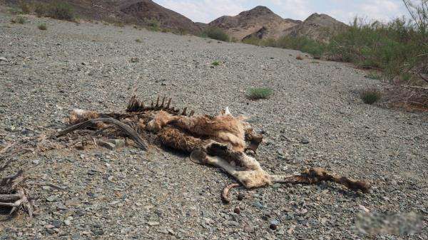 ����Ұ���������Ҫ�� ˵˵����ΪʲôҪ����Ұ������