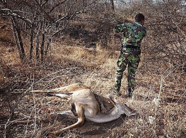 ����Ұ���������Ҫ�� ˵˵����ΪʲôҪ����Ұ������