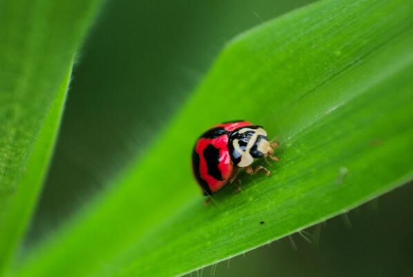 ����ư������滹�Ǻ��� ����ư��������Ƕ೤ʱ��