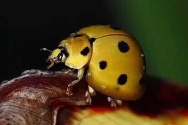 ����ư������滹�Ǻ��� ����ư��������Ƕ೤ʱ��