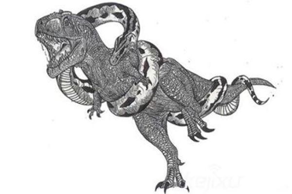 ����������Щ����ľ��� �����˵�Զ�ž������а�ǰʮ��