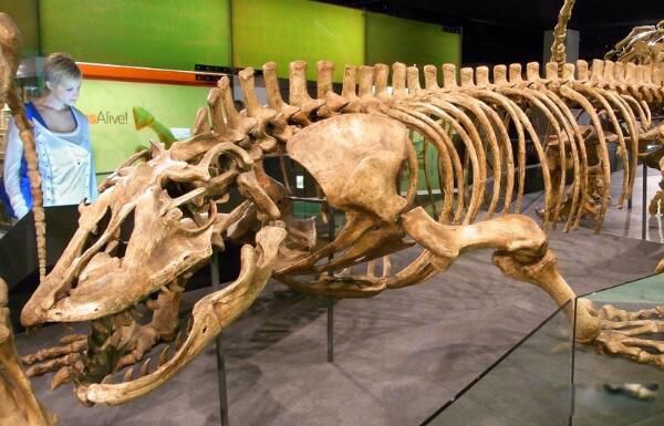 ����ħ���¼������Ǽ� �����������ħ������