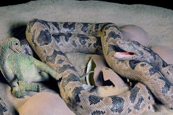 ����������Щ����ľ��� �����˵�Զ�ž������а�ǰʮ��