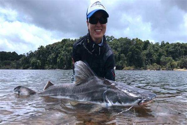 ����ѷ�����ж����� ����ѷ���㳤ʲô�������̵�����