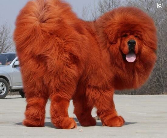 ������Ĺ�Ʒ������ǰʮ �����ƽ��������20������