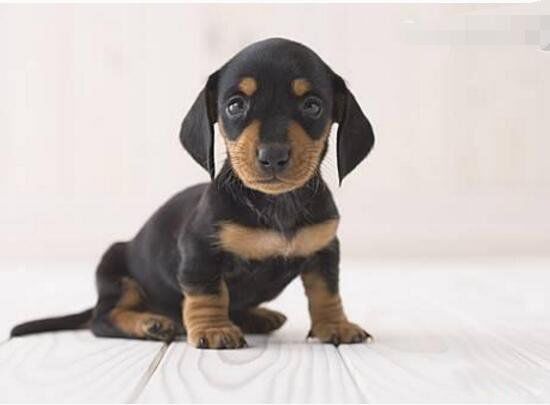 ������Ĺ�Ʒ������ǰʮ �����ƽ��������20������