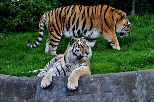 780������ϻ�������� ���������������ǻ��ж��