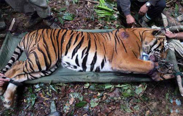 780������ϻ�������� ���������������ǻ��ж��