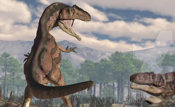 ʳ��������Ҫ�ֲ������� ʳ�����ʳ�������ж೤