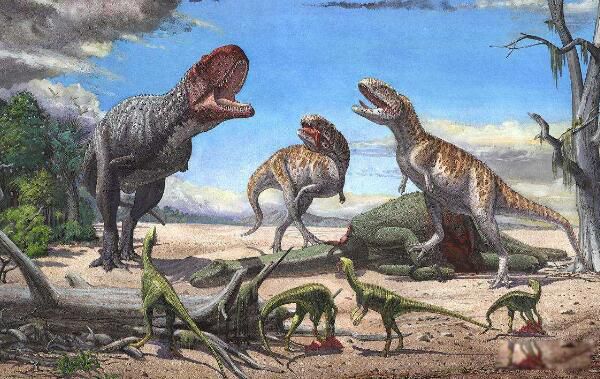 ʳ��������Ҫ�ֲ������� ʳ�����ʳ�������ж೤