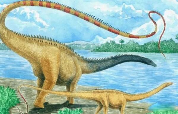 ʳ��������Ҫ�ֲ������� ʳ�����ʳ�������ж೤