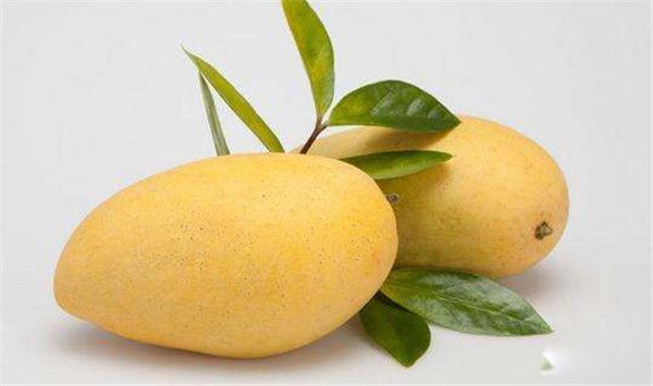 â���Ͷ�����һ������Ż���� â�����ܺ�ʲôһ���