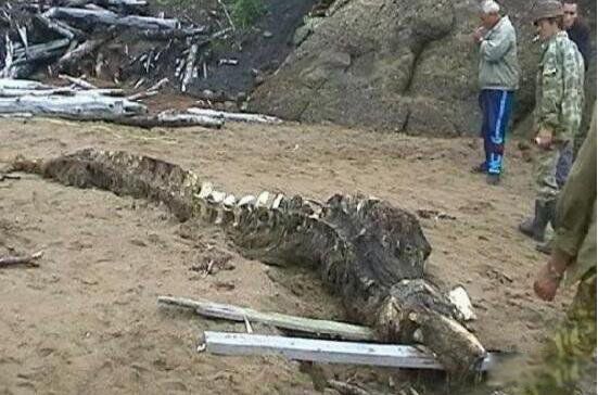 ����ΪʲôҪ�������Ĵ��� ��������Ĵ���