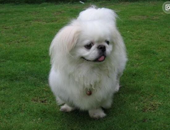 ������Ĺ�Ʒ������ǰʮ �����ƽ��������20������