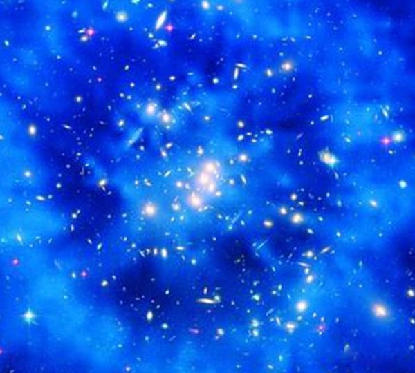 ��������û�й� ������û�й��Ŀ�ѧ����