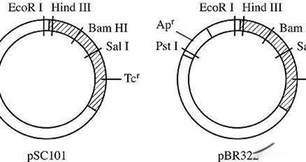 ��������û�й� ������û�й��Ŀ�ѧ����