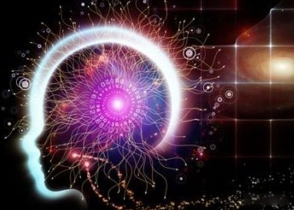 ��������û�й� ������û�й��Ŀ�ѧ����