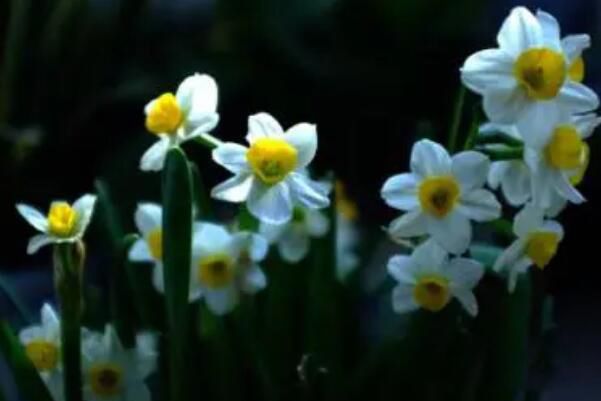 ˮ����ʲô��˼��Ȧ ������Դ������������