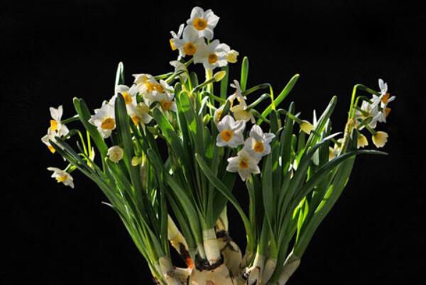 ˮ����ʲô��˼��Ȧ ������Դ������������