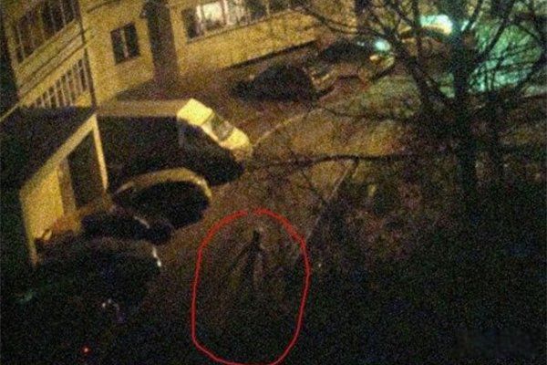 ������������¼���Ƶ��ô���� ϸ����Ӱ����ʵ�¼���