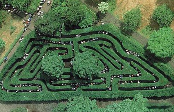 �ֲ�ֲ�����а�ǰ8�� �۾���ƿ�Ӳ��û�����