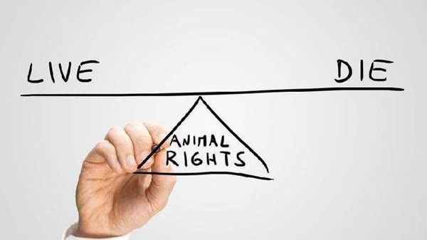 瑞士安乐死要多少人民币 多少钱一针?有哪些机构