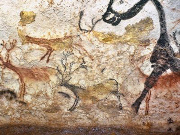 ������ũ����ʲô���� ������ũ����ŷ���˵�������?