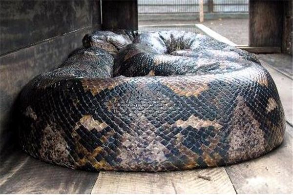 ������·�ڳ�140����� �����ڳ������¼��ٷ�����