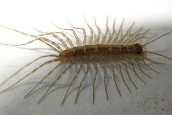 ��������滹�Ǻ��� �������ǲ����ж���